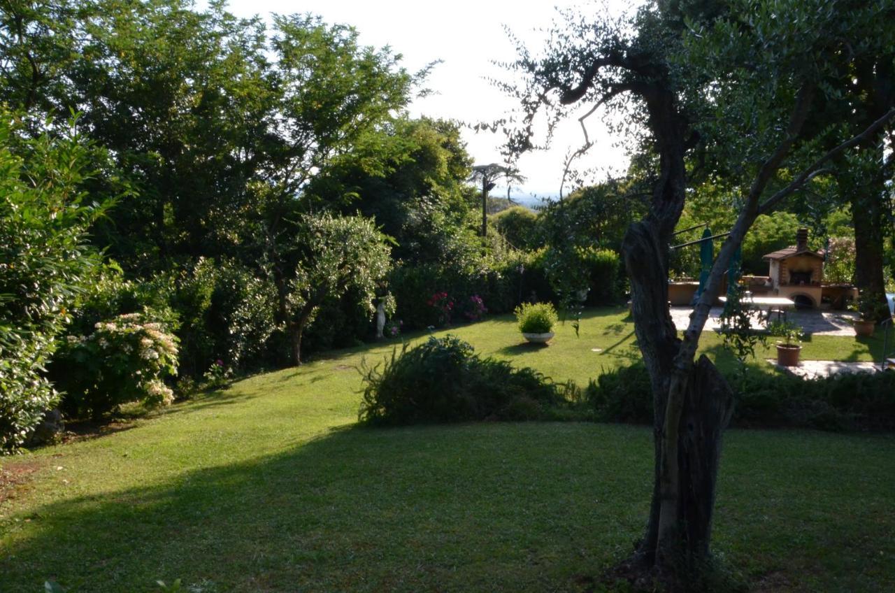Maison Brinati Bed And Breakfast Monsummano Terme ภายนอก รูปภาพ