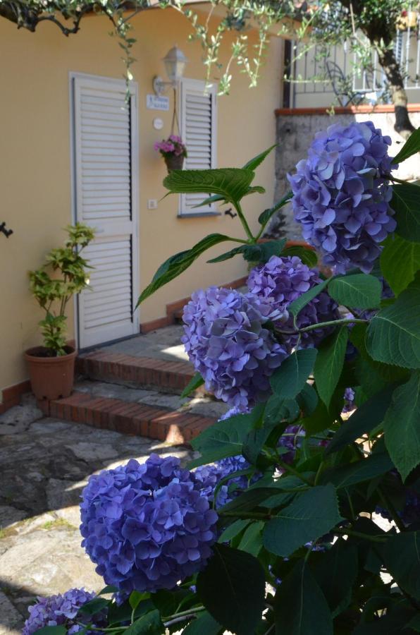 Maison Brinati Bed And Breakfast Monsummano Terme ภายนอก รูปภาพ
